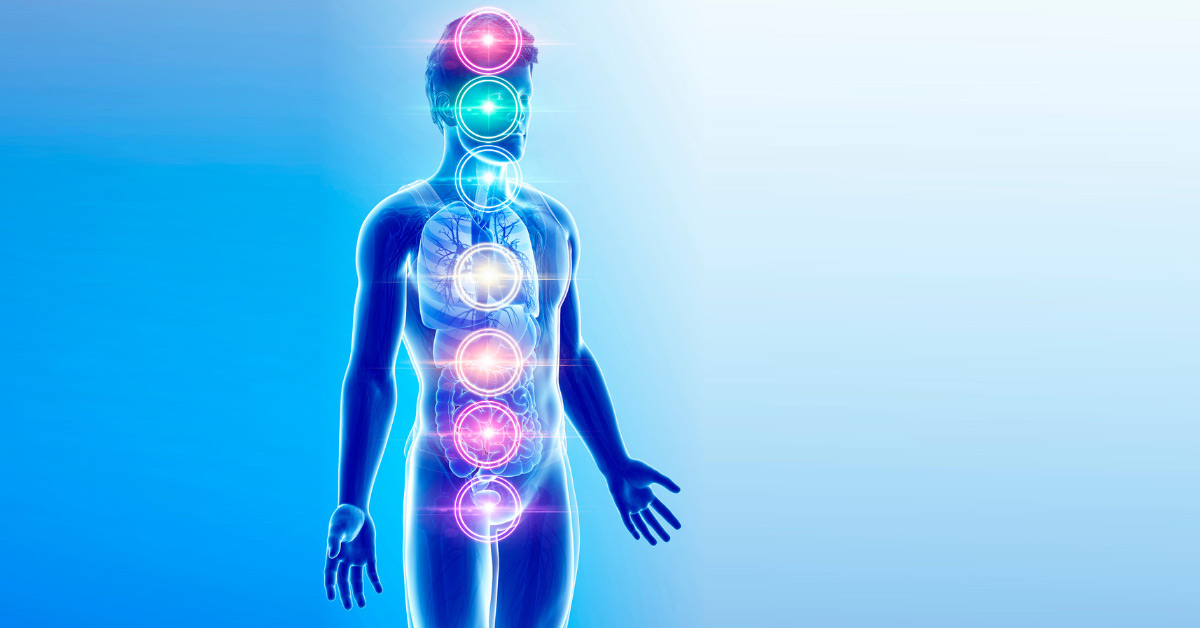 Levels of Human Energy Scale